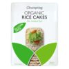 rice cakes nosalt 1